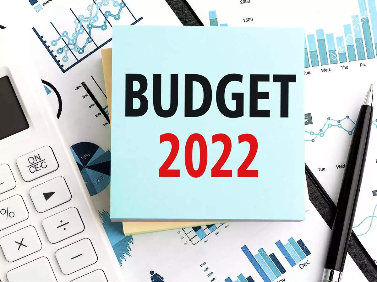 Can this multibagger sector get another fillip in Budget 2022?