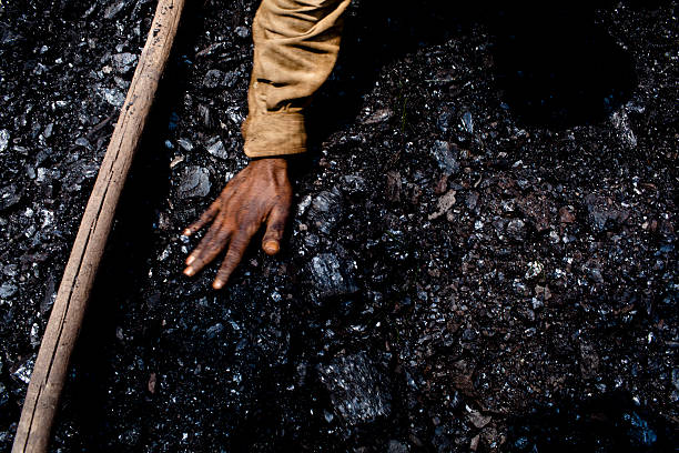 India's coal import likely to be subdued in coming months: mjunction