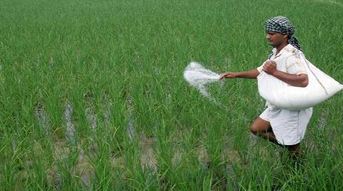 Kharif crop output to fall after steady rise in 6 years