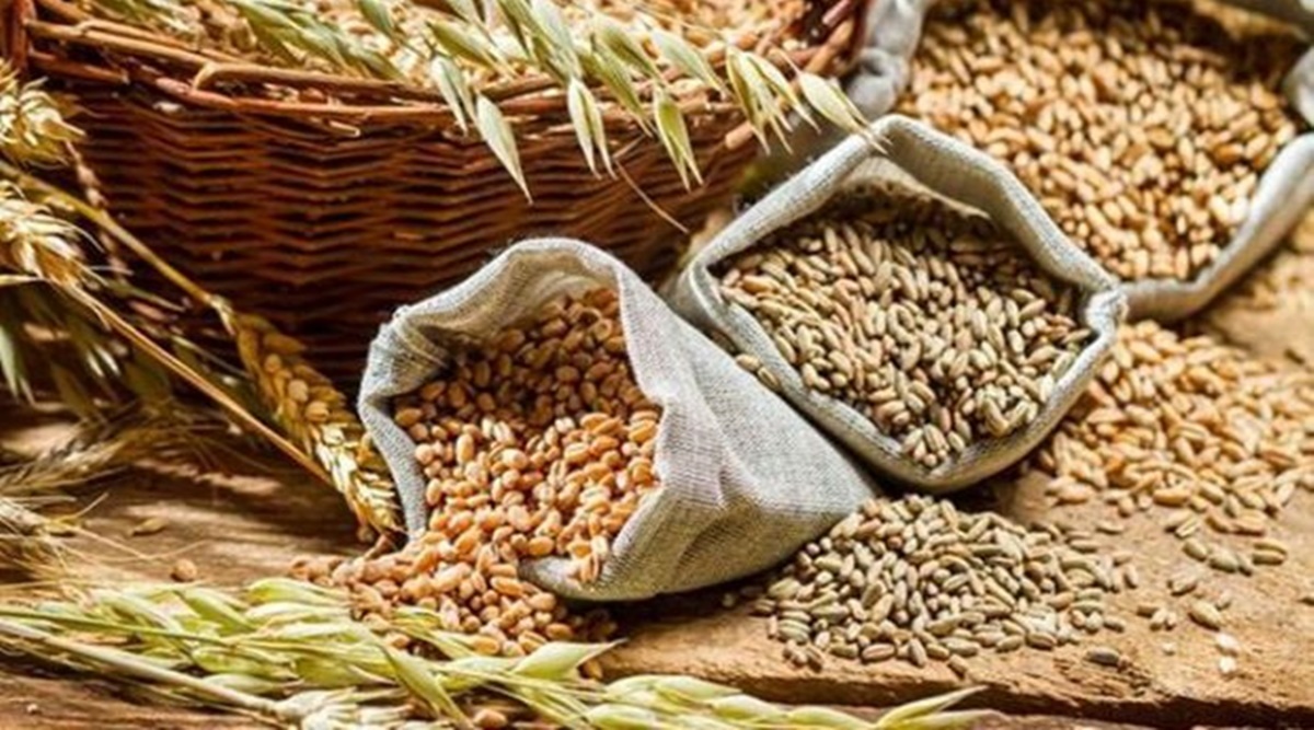 Third advance estimate: Food grain output seen at record 314 million tonne