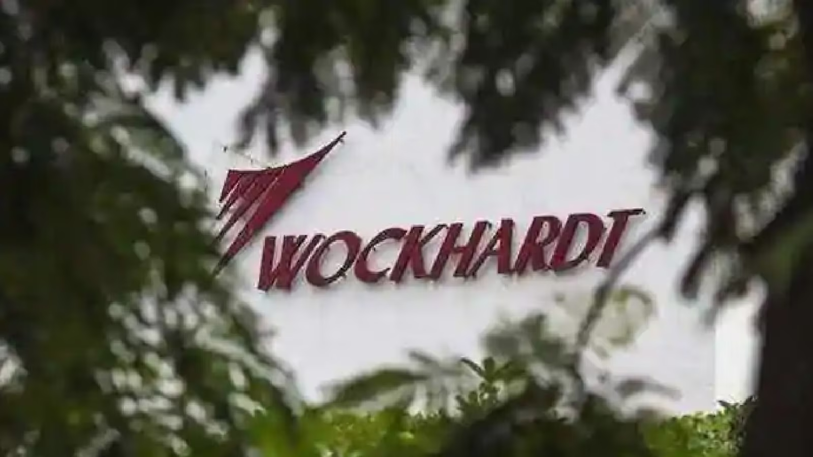 Wockhardt shares gain in choppy trade after FDA grants fast-track designation to antibiotic