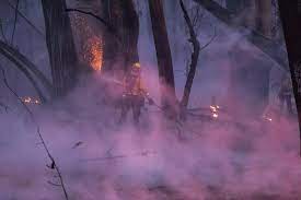 Thousands flee, several hurt as wildfire scorches California