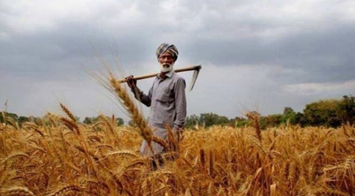 Agri exports robust, set to cross FY22 target of Dollar 23 billion
