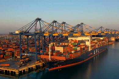 Adani Ports and Special Economic Zone Shares Surge 3.76% Amid High Volume
