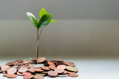 Invesco Mutual Fund Revises Daily SIP Rule for Weekends & Holidays