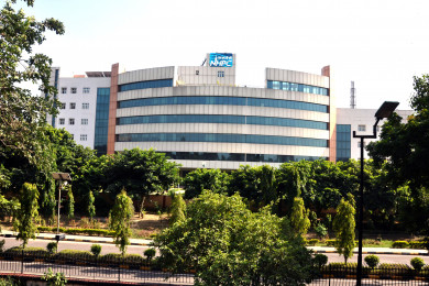 NHPC rises 4% as retail bidding opens after oversubscribed OFS, full greenshoe exercise