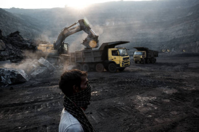 Coal India stock jumps 4% post Q4 results, brokerages positive on dividend support despite mixed outlook
